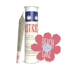 Beach Cake PRJ 0.5g (2ct) - District Cannabis