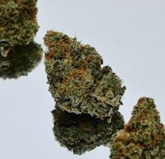 Jack Herer Silver Lining - Noble Farms