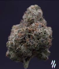 Milk Weed | Nino Brown | 3.5g