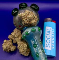 Gold Shelf - Cheetah Piss (H)