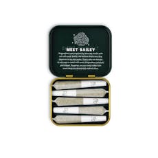 Dogwalkers 5pk/1.75g - Afternoon Delight #4 (Stay)