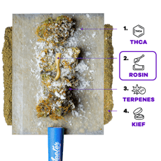 JEETER - XL - PREROLL INFUSED - 2G - HIGH TIDE - SATIVA