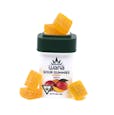 Gummies | Mango | 10pk
