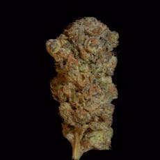 Dulce De Papaya - 1oz Top Shelf Flower