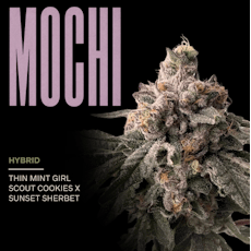 Garden State Exotix | Mochi | 3.5g