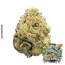 Titan Express - 14g - Grassroots