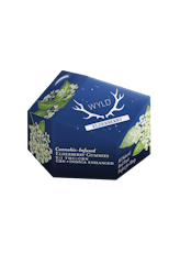 WYLD | Boysenberry 1:1:1 | THC:CBD:CBN Indica Gummies (10pk)