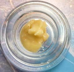 LIVE ROSIN: Black Maple