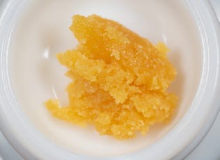 Nomad Extracts - (H) Sugar Floss Sugar Wax - 1g