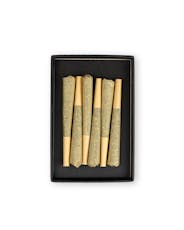 NORTHERN LIGHTS | 6-Pack