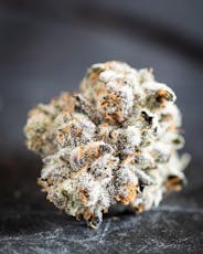 Animal Tsunami 3.5 grams