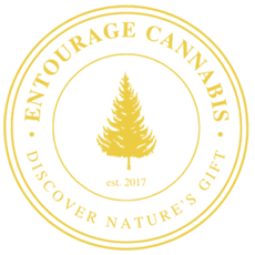 Entourage - Cherry Chem Cobbler x White Chery Pie 1.5g (Live Resin)