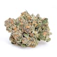 Kevin's Coma | Querkstar | Certified Kind Organic