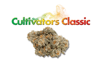 Cultivators Classic | Vanilla Cream Pie | Flower - 3.5g