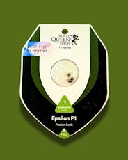 iGrowcan Seeds - Fat Banana (2pk)
