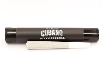 Cheetoz | Live Resin Infused PreRoll