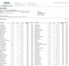 SoundView Raspberry Lime 5:1 CBD Gummies 00202