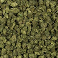 Gelatti Mints | SMALLS