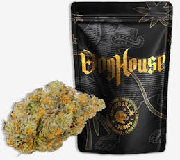 Papa Burger Flower by Dog House