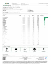 Springtime Pre-Roll Jet Fuel OG (S) - 00066