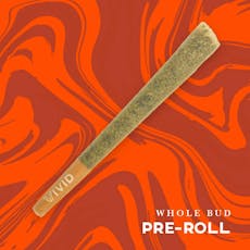 Alien Mintz PreRoll (1g)