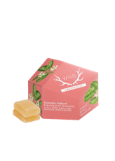 Grapefruit 1:1:1 10mg (10ct) - WYLD Gummies