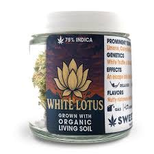 Sweetwater White Lotus 3.5g