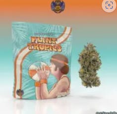 Michigander Fire - 3.5g Prepack - Flint Tropics