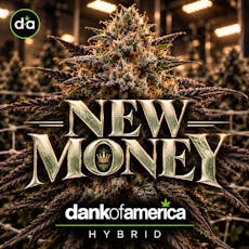 DOA - 3.5g Flower - New Money