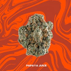 Vivid | Papaya Juice 3.5g