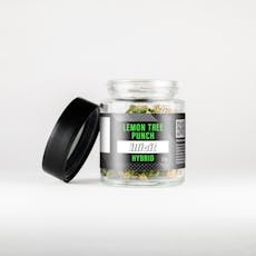 Lemon Tree Punch | Premium Flower | 3.5g