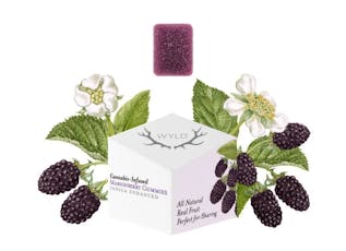 Wyld Gummies - Marionberry Indica 100mg