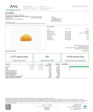 Orangecello Gummies 100mg (10-Pack | 10mg Each) (26237)