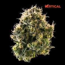 VERTICAL - LEMON BATTER 14G I/S