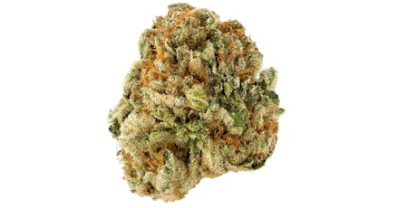 Banana Taffy Flower by Growing Pains