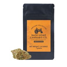 Back Home Cannabis - Flower - Acapulco Gold - (S) - 7g
