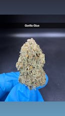 Original Glue - Flower - Hybrid