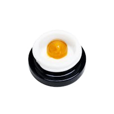 Infinity: Live Concentrate | Spritzer | Badder | 1g