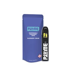 Blueberry Cream | Disposable 2g