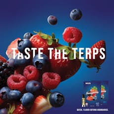 Batch - Cartridge - Shwazzberry (H) 1000mg