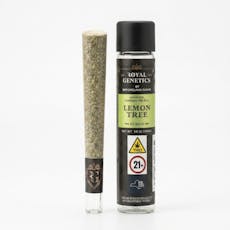 Lemon Tree | 1g