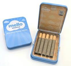 Multi 5pk 1g - Glitter Bomb