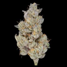 Green Dot - Pre-Packed - Lemon Grinder (H) 7g