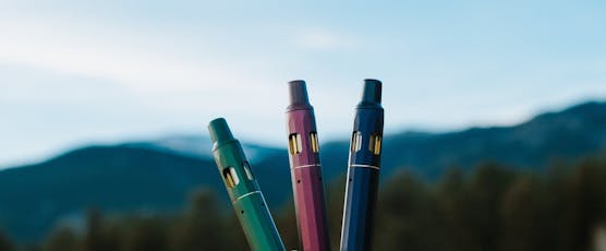 Taste Budz- Hybrid Rosin Disposable 1000mg