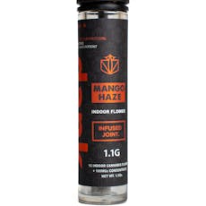 DANK | INFUSED PRE-ROLL | MANGO HAZE | 1.1G