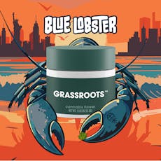 Blue Lobster | Flower | 3.5g
