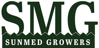 Voyager Cured Resin Shatter 1g