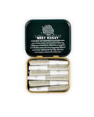 Play NIGHT OWL HAZE | 12-Pack