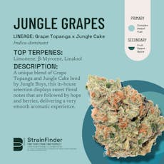 Jungle Grapes | 1g Live Resin Disposable | Superflux