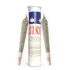 Pre Roll: Sister Gluect | 1G